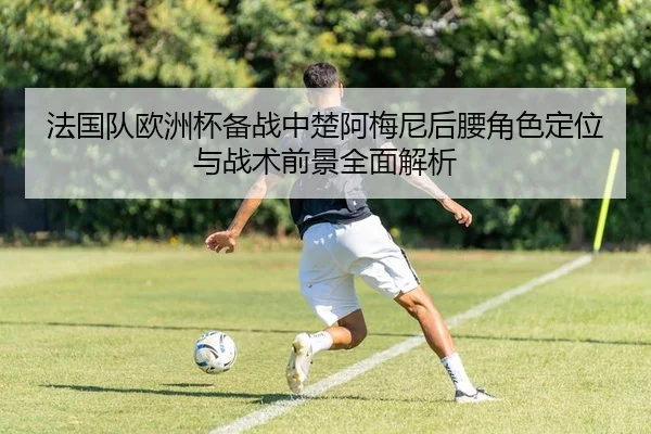 法国队欧洲杯备战中楚阿梅尼后腰角色定位与战术前景全面解析