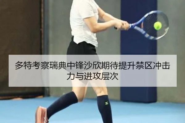 多特考察瑞典中锋沙欣期待提升禁区冲击力与进攻层次